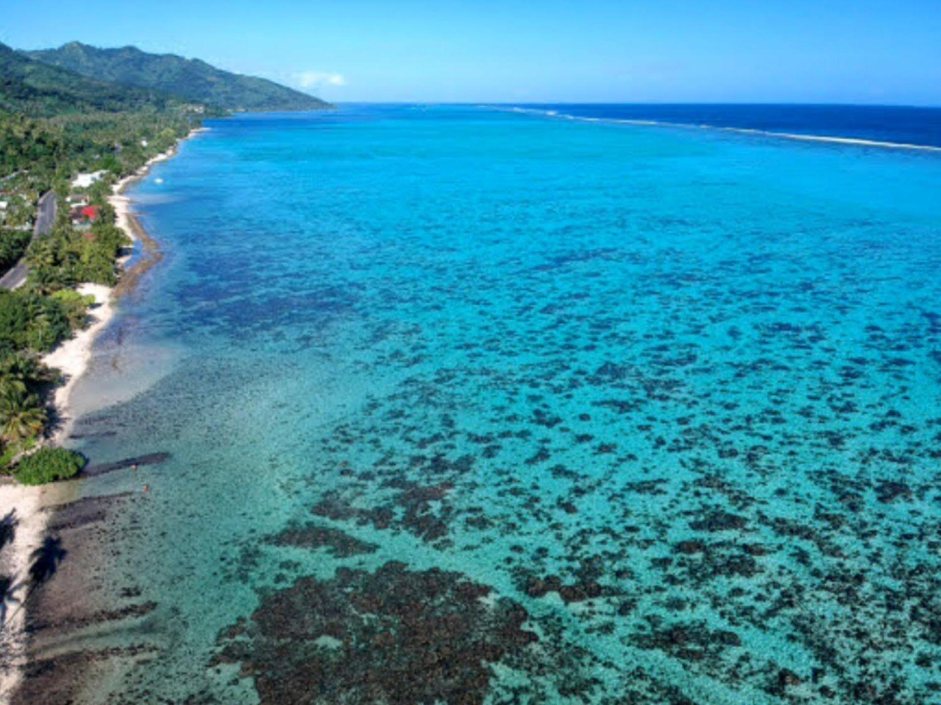 Moorea - Fare Taina Iti Haapiti Luaran gambar